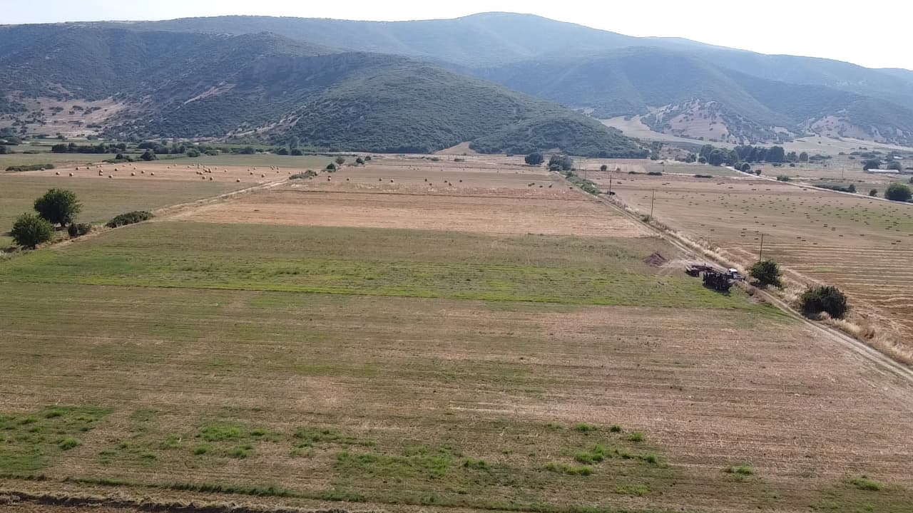 field before
