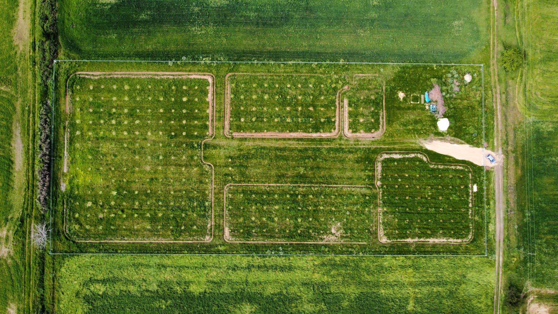 field after